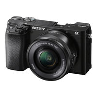 Sony A6100 Einführungsanleitung