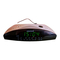 Radiowecker & Uhrenradios Grundig SONOCLOCK 22 Bedienungsanleitung