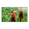 Monitore Philips 49BDL3005X Bedienungsanleitung