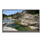 Monitore Panasonic TX-58AX800E Bedienungsanleitung