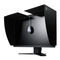 Eizo COlorEdge CG242W