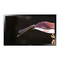 Plasma-TV Panasonic TH103VX200W Bedienungsanleitung