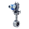 Endress+Hauser deltatop DPO 10