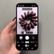 Makrofotos auf dem Google Pixel 10 Pro aufnehmen: Leitfaden zum Makrofokus