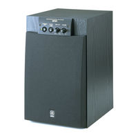 Yamaha YST-SW105 Bedienungsanleitung