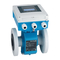 Endress+Hauser Proline Promag W 800