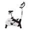 Reebok JET 100 Bike