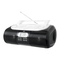 Tragbares Radio Dual P 51 Bedienungsanleitung