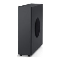 Teufel T6 Technische Beschreibung Und Bedienungsanleitung