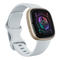 Fitness Trackers Fitbit sense 2 Bedienungsanleitung