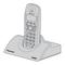 Panasonic KX-TCD455G
