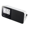 Radiowecker & Uhrenradios Sony DREAM MACHINE ICF-C705 Bedienungsanleitung