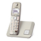 Schnurlose Festnetztelefone Panasonic KX-TGE210SL Bedienungsanleitung