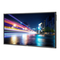 Monitore NEC MultiSync P703 Bedienungsanleitung