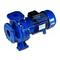 Pumpen Lowara FHF Serie Installations- Und Bedienungsanleitungen