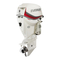 Außenbordmotoren BRP Evinrude E-TEC 115 Bedienungsanleitung
