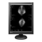 Eizo RadiForce GX540-CL