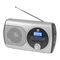 Radios Dual P 10 Bedienungsanleitung