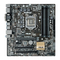 Asus B150M-C D3