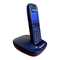 Schnurlose Festnetztelefone Panasonic KX-TG5511G Bedienungsanleitung