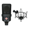 Mikrofone Neumann.Berlin TLM 103 Bedienungsanleitung