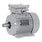 Motoren Nidec LEROY-SOMER LSPX serie Inbetriebnahme Und Wartung
