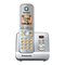 Panasonic KX-TG6711G