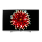 OLED-Fernseher LG OLED55/65C-Serie Sicherheitshinweise Und Referenzen