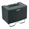 Roland Acoustic Chorus AC-90