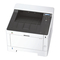 Drucker Olivetti PGL2540 Bedienungsanleitung